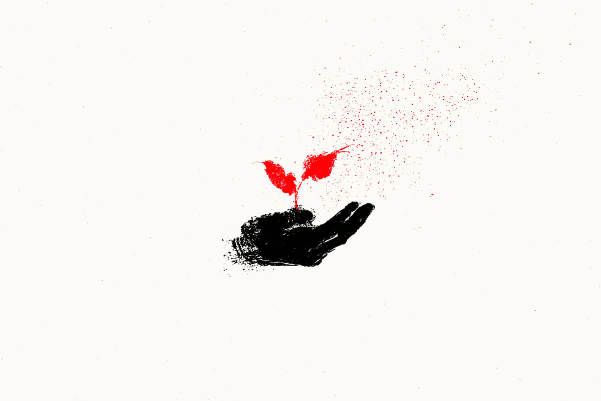 Two hands cupping a small plant with brush-stroke leaves